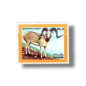 1986 PK702 Marco Polo Sheep Ovis ammon polii