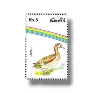 1992 PK891 Water Birds Gadwal