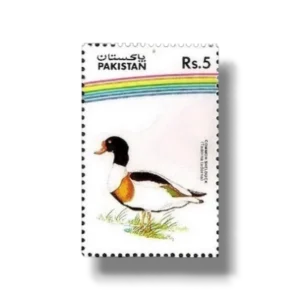 1992 PK893 Water Birds Common Shelduck