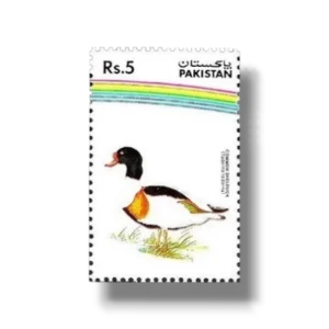 1992 PK894 Water Birds Common Shelduck
