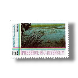 1994 PK916 Biological Diversity Convention Wetlands habitat
