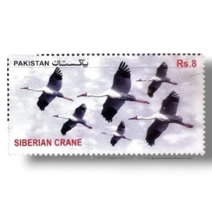 2012 PK1463 Migratory Birds Siberian Crane (Grus leucogeranus)