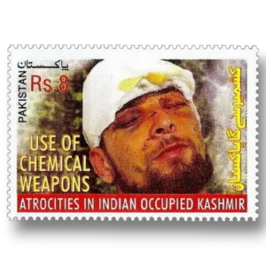 Human Rights Abuses in Kashmir
