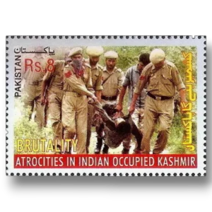 Human Rights Abuses in Kashmir
