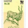 Day of the Markhor