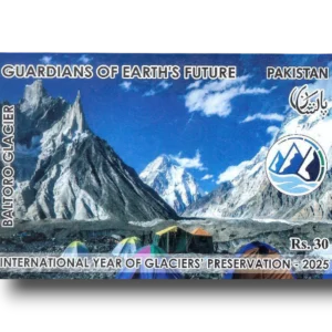 International Year of Glacier Preservation Baltoro Glacier