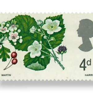 Hawthorn and Bramble